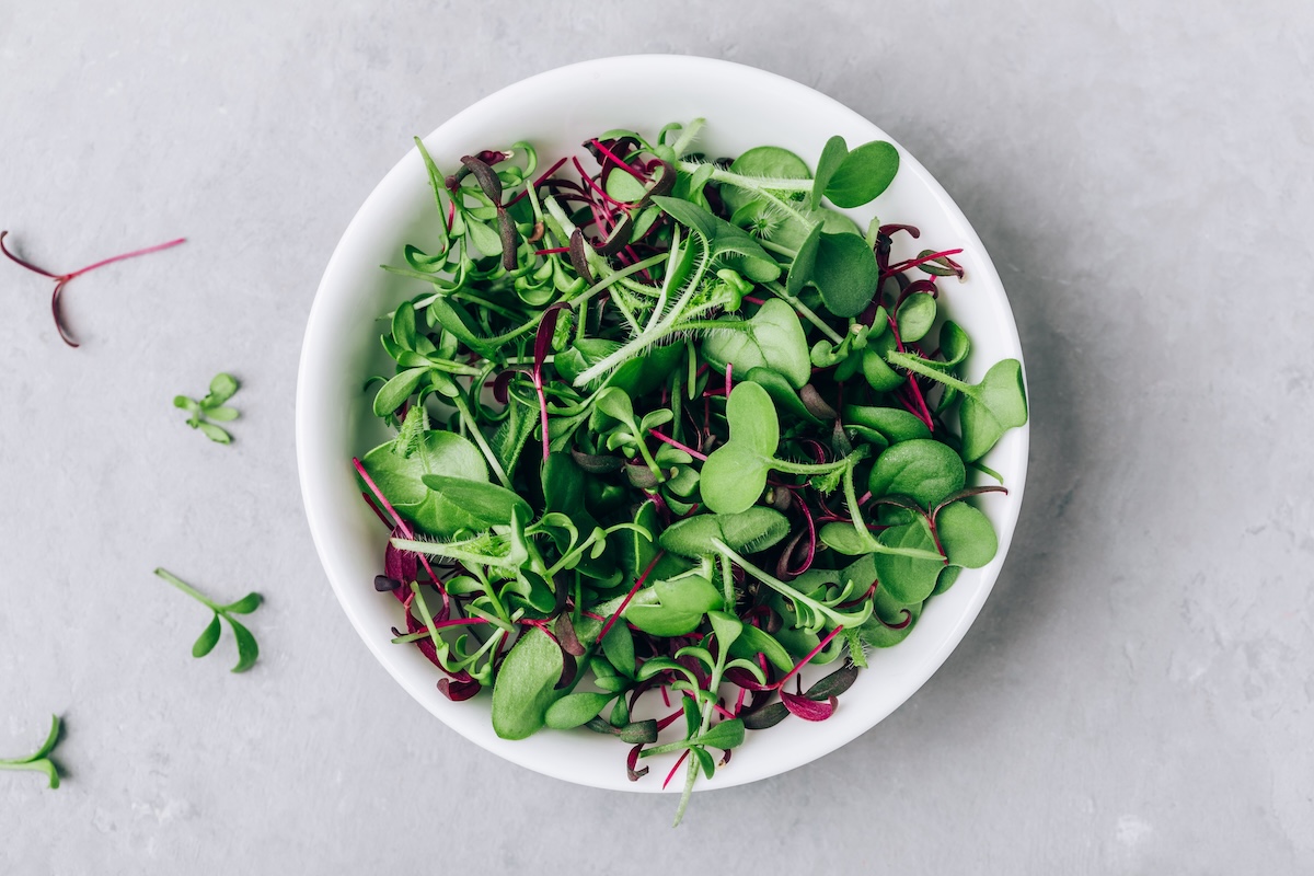 Mix superfood de micropousses riches en antioxydants