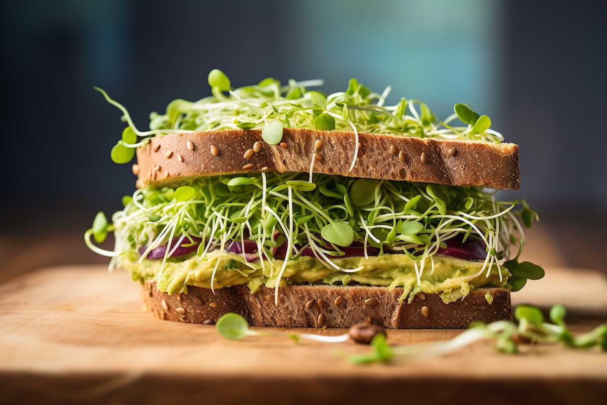 Room service premium sandwich avec micropousses